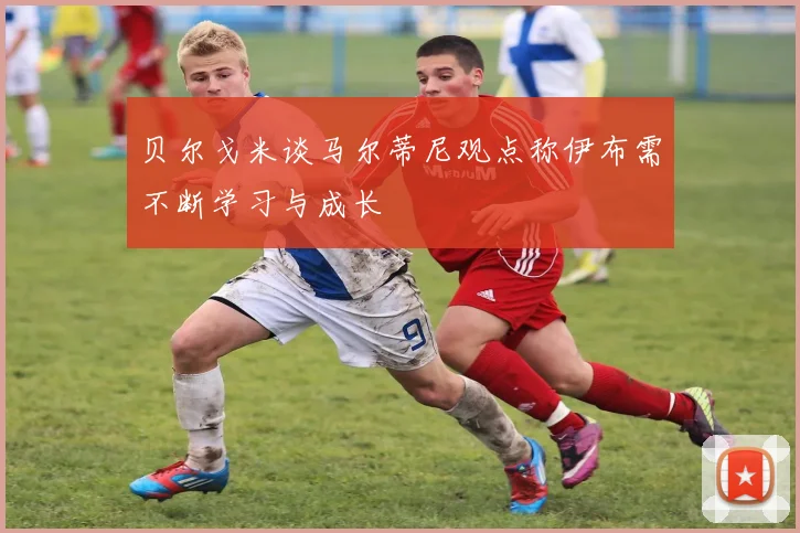贝尔戈米谈马尔蒂尼观点称伊布需不断学习与成长