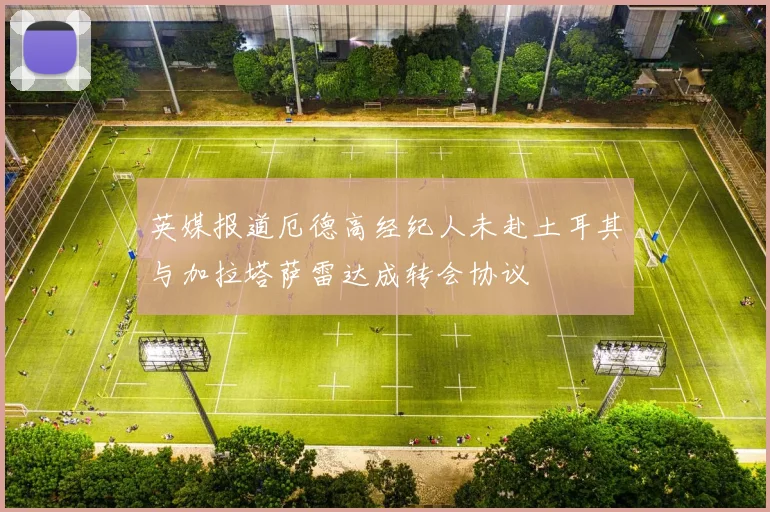 英媒报道厄德高经纪人未赴土耳其与加拉塔萨雷达成转会协议